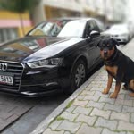 Soner