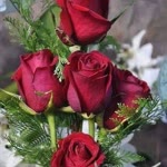 Orhan