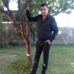 Şahin