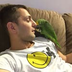 Cengiz