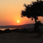 Saadet