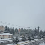 Süleyman
