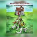 Sinem