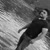 Bülent