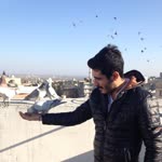 Murat