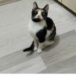 Deniz