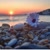 Deniz