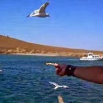 Göksun