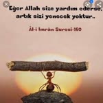 Aynur