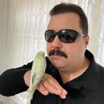 Savaş