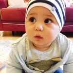 Ortak