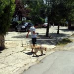 Bahadır