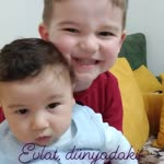 Necibe
