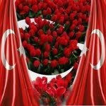 Kemal