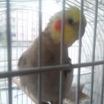 Emirhan