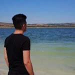 Şahin