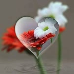 Neslihan