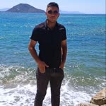 Şahin
