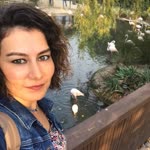 Seher