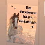 Sevgi