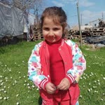 Şengül