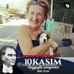 Ayşenur