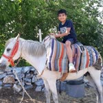 Mustafa