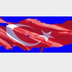 Seden