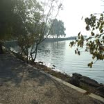 Fikriye