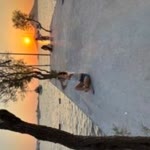 Damla
