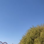 Sıla