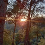 Fikret