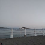Sueda