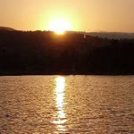 Tolga