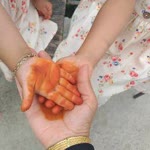 Bahar