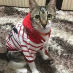 Neşe