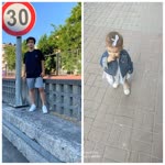 Duygu