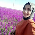 Havva