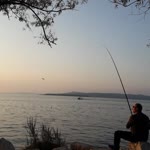 Yucel