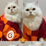 Uğur