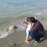 Tayyar