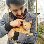 Murat