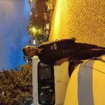 Yunus