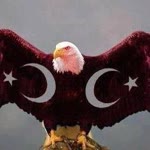 Hanifi