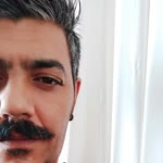 Şahin