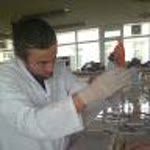 Halit