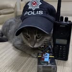 Levent