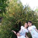 Emel
