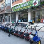 Doruk