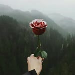 Zehra